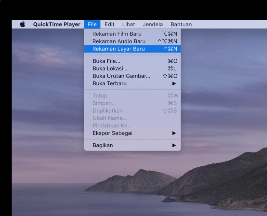 quicktime player for mac update