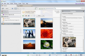 picasa download for windows 10