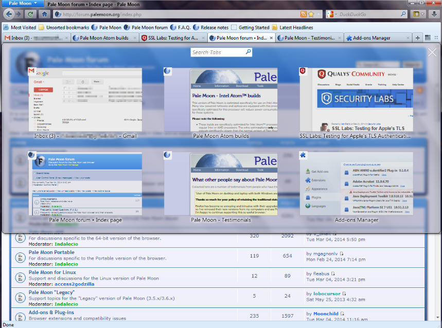 Pale Moon 32.2.1 instal the new version for windows